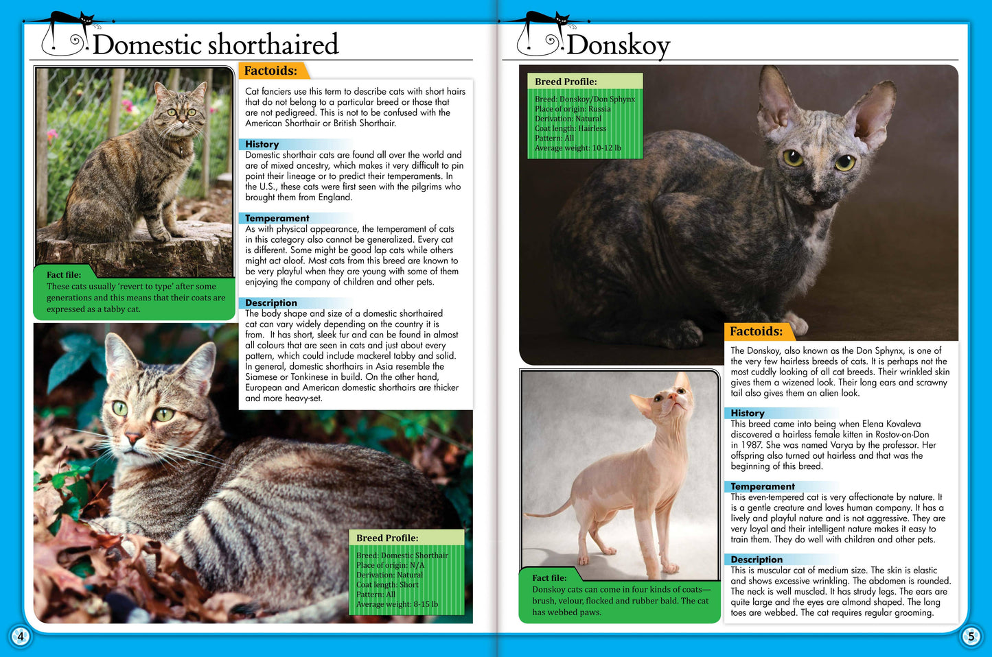 Childrens Encyclopedia of Cats – The Ultimate Feline Fact File!