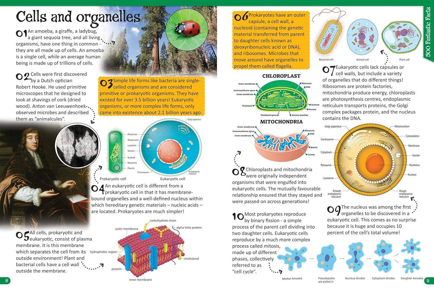 Reference Book - 500 Fantastic Facts - Biology - STEM Learning