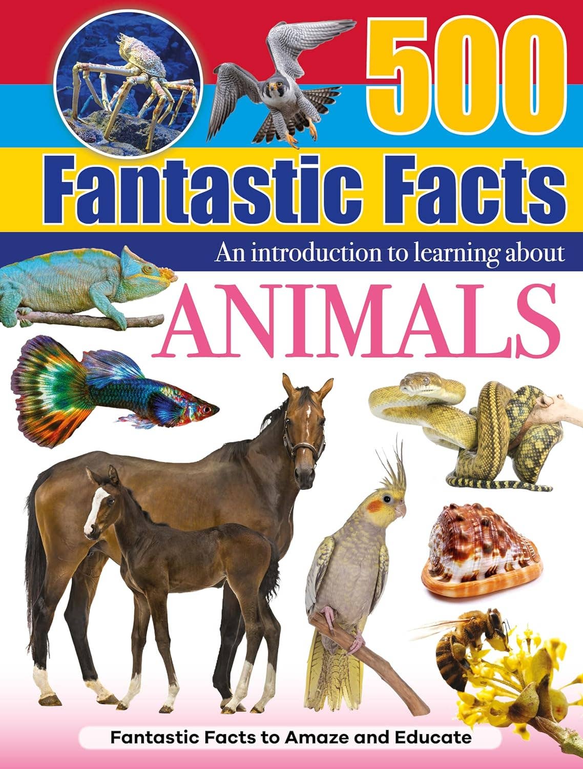 Reference Book - 500 Fantastic Animals Facts
