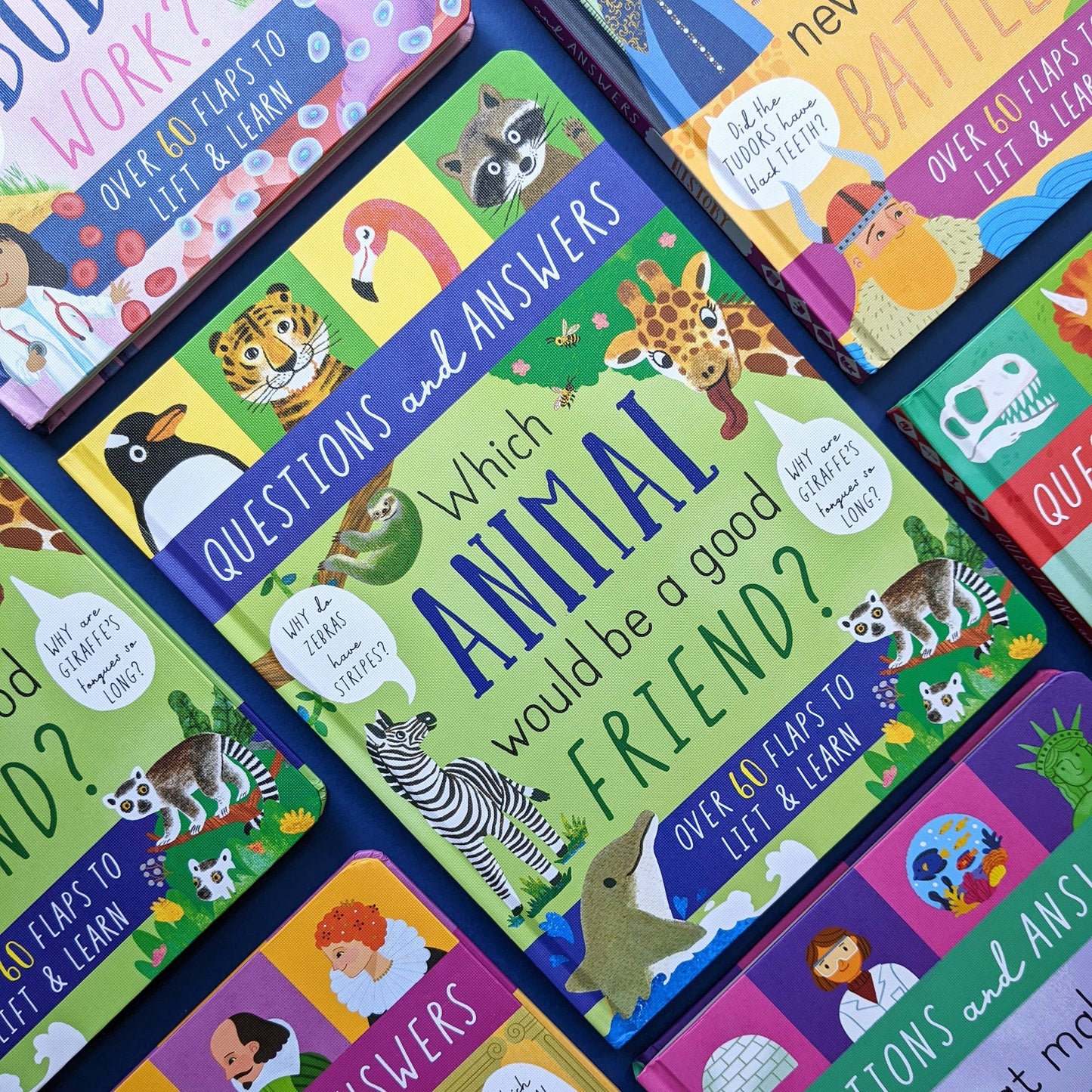 Large Question and Answer Flap Book - Animals