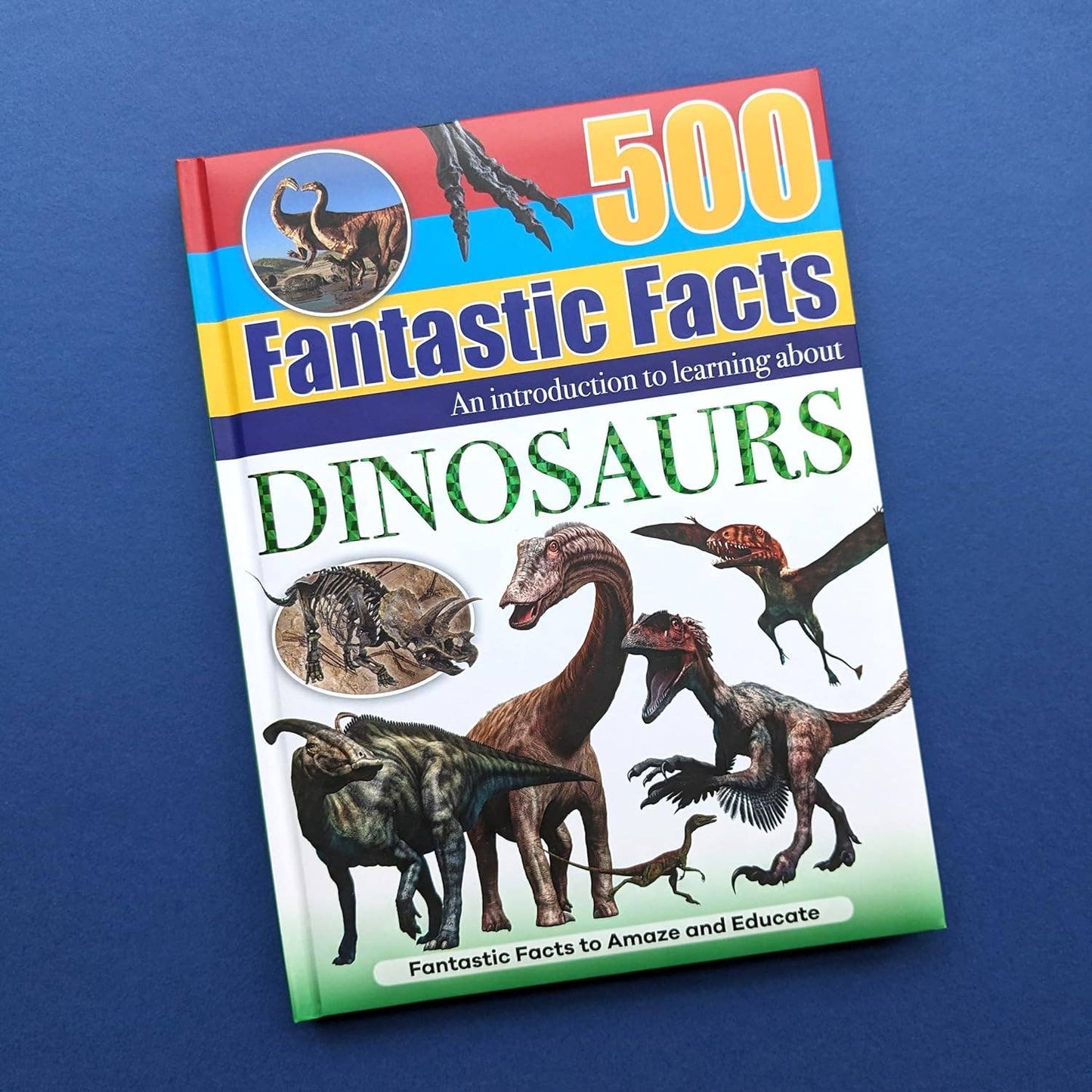 Reference Book - 500 Fantastic Facts - Dinosaurs