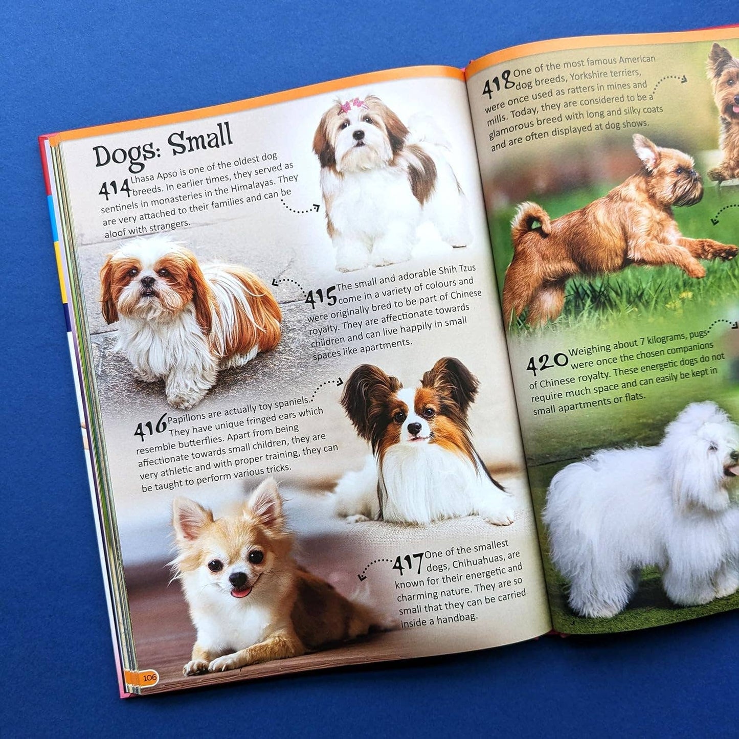 Reference Book - 500 Fantastic Animals Facts