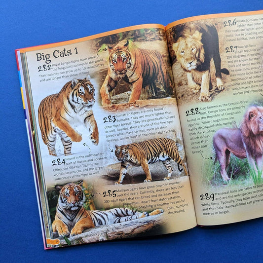 Reference Book - 500 Fantastic Animals Facts