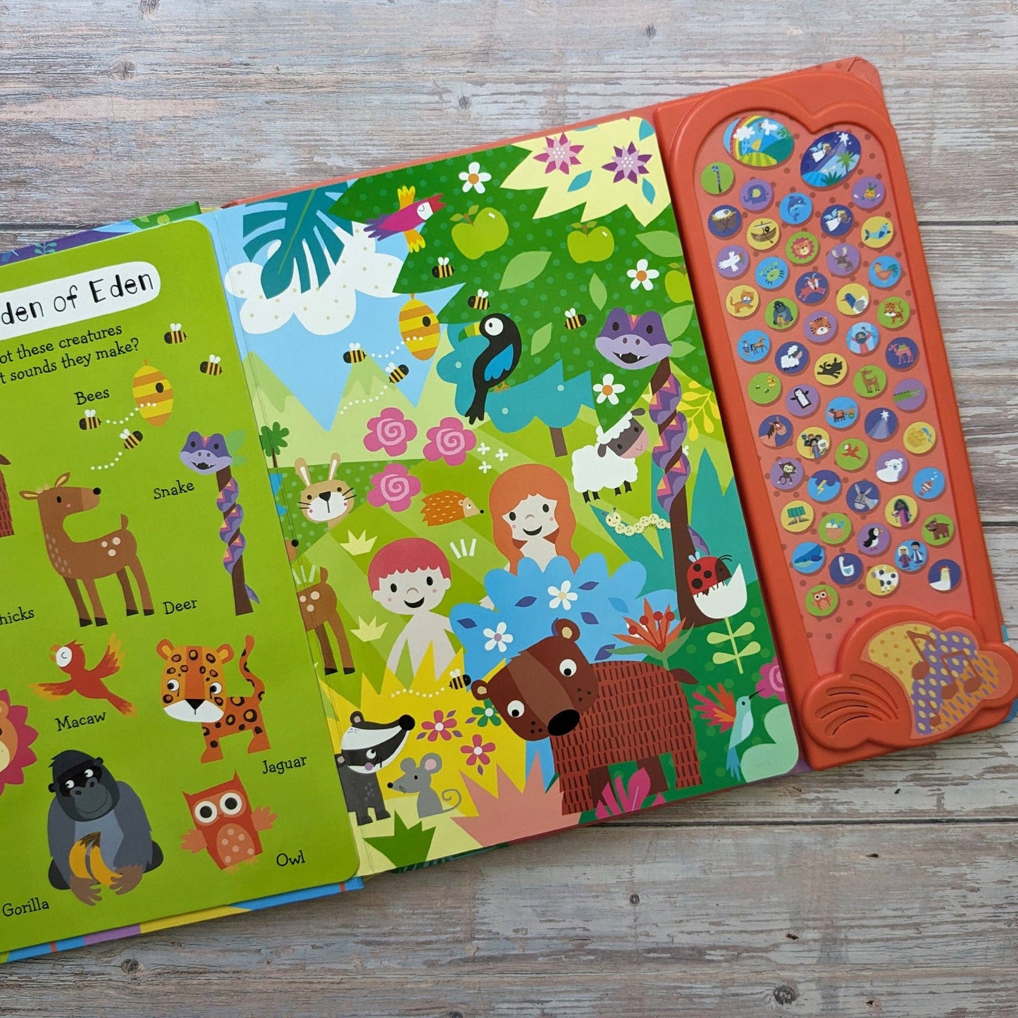 Children's 50 Button Christian Sound Book - My First Look And Find Bible
