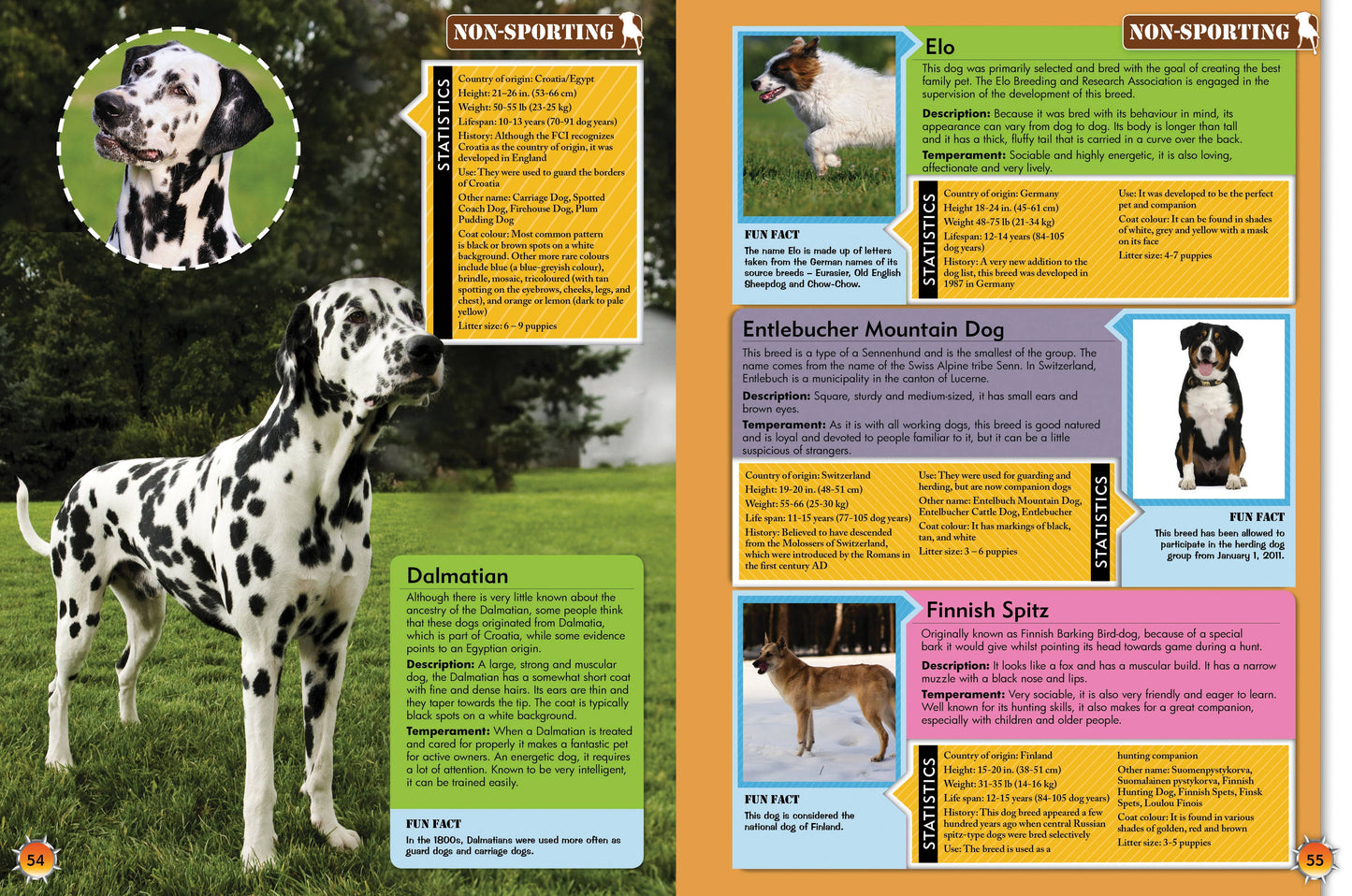 Childrens Encyclopedia diaof Dogs – The Ultimate Canine Companion Guide!