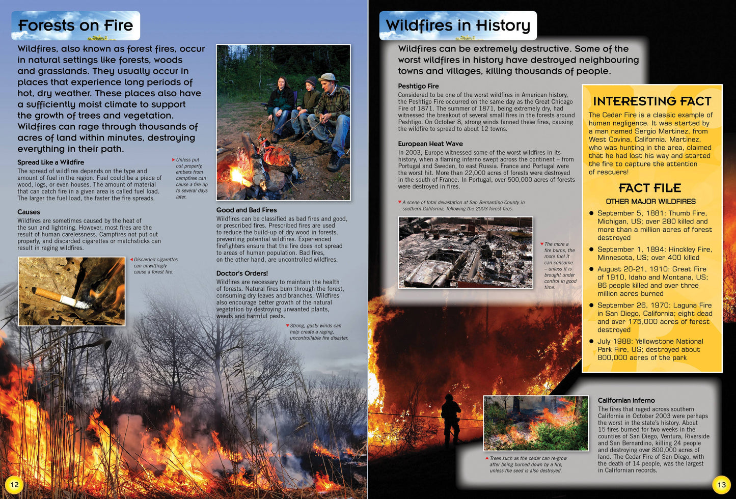 Childrens Encyclopedia of Natural Disasters – Earth’s Most Powerful Forces Revealed!