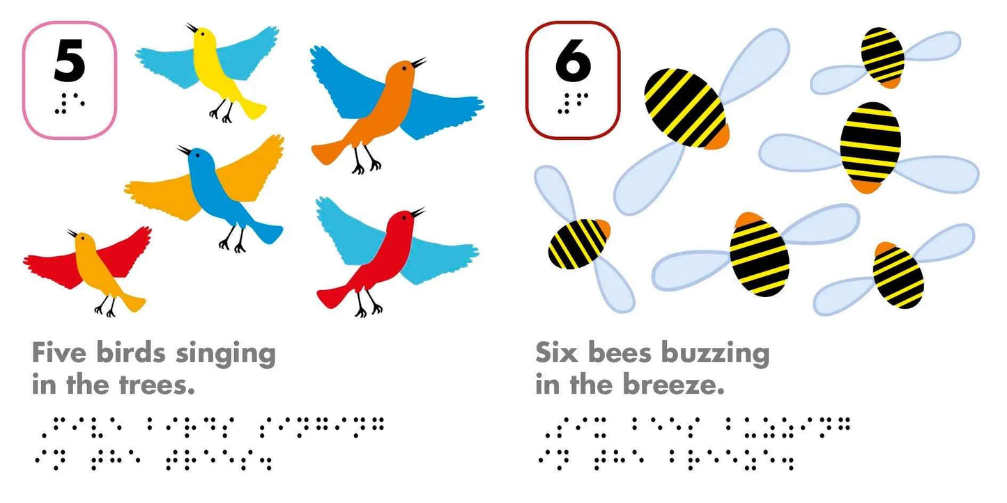 DK Braille Counting