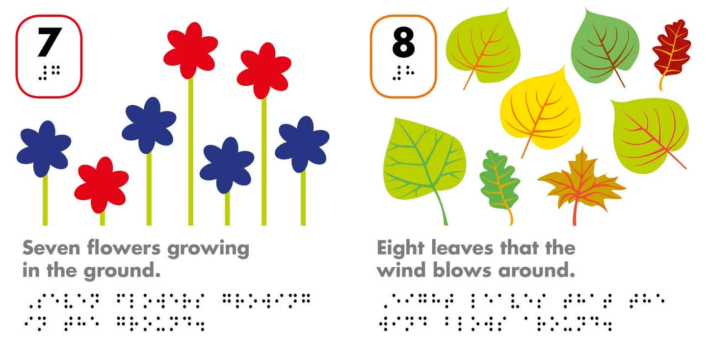 DK Braille Counting