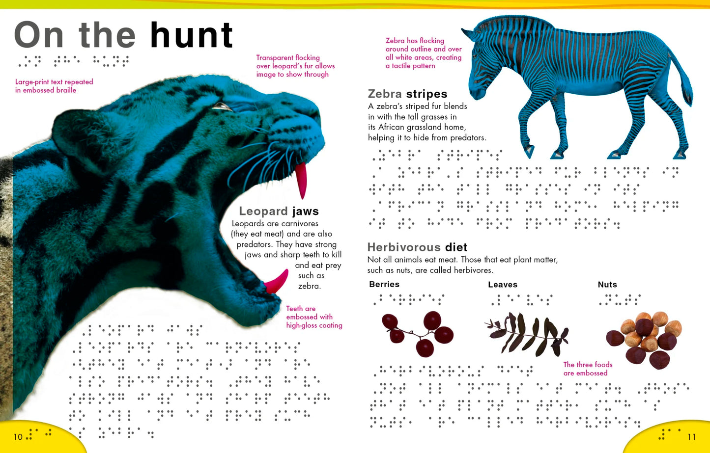 DK Braille Animals