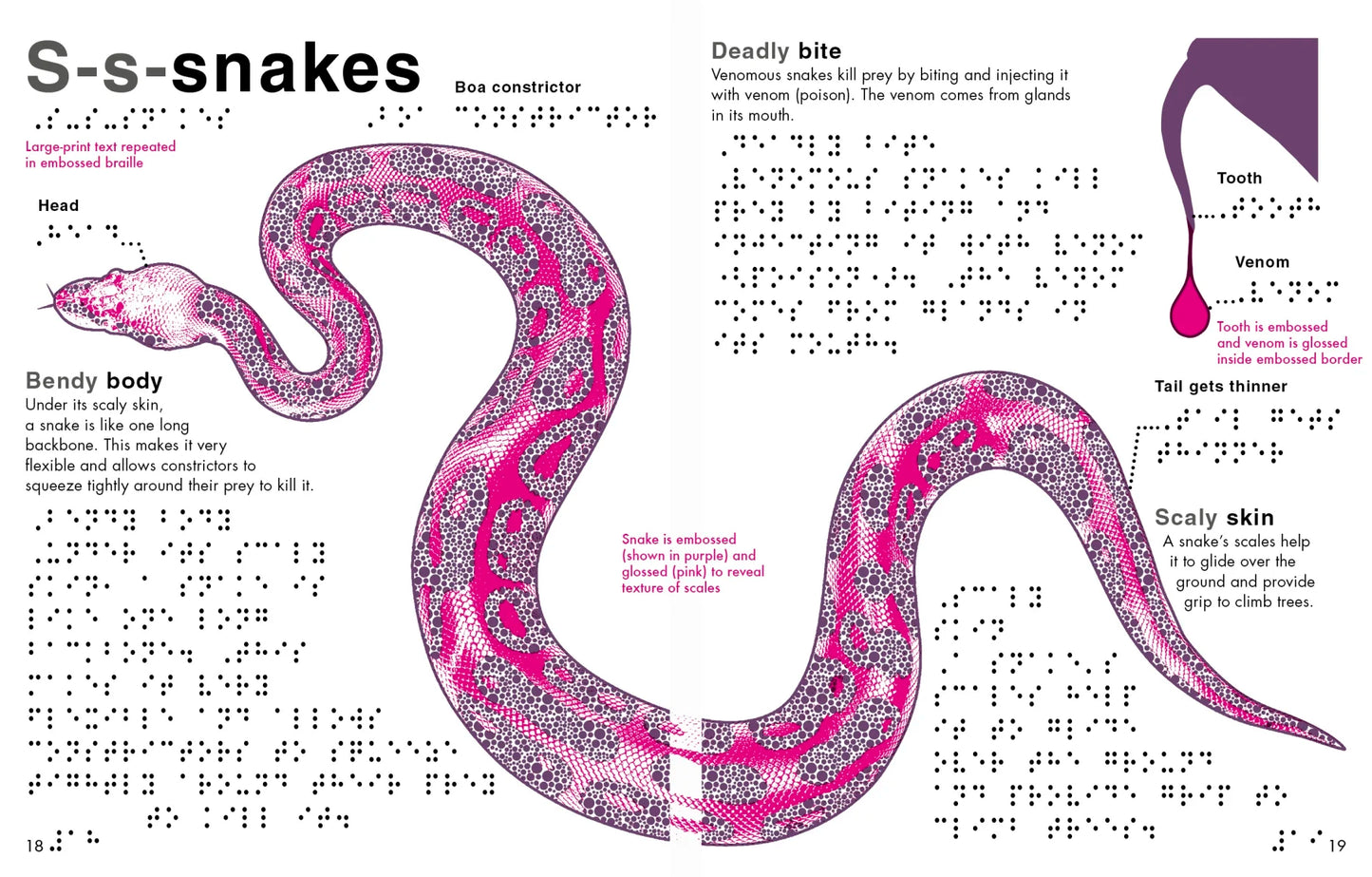 DK Braille Animals