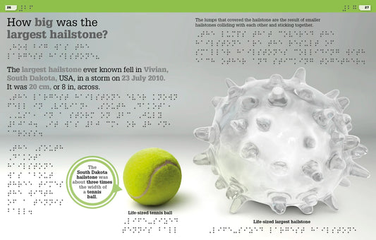 DK Braille It Can't Be True!