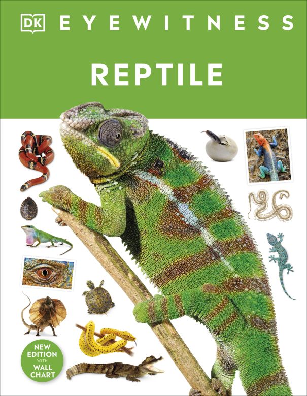 Reptile Eyewitness - DK Children