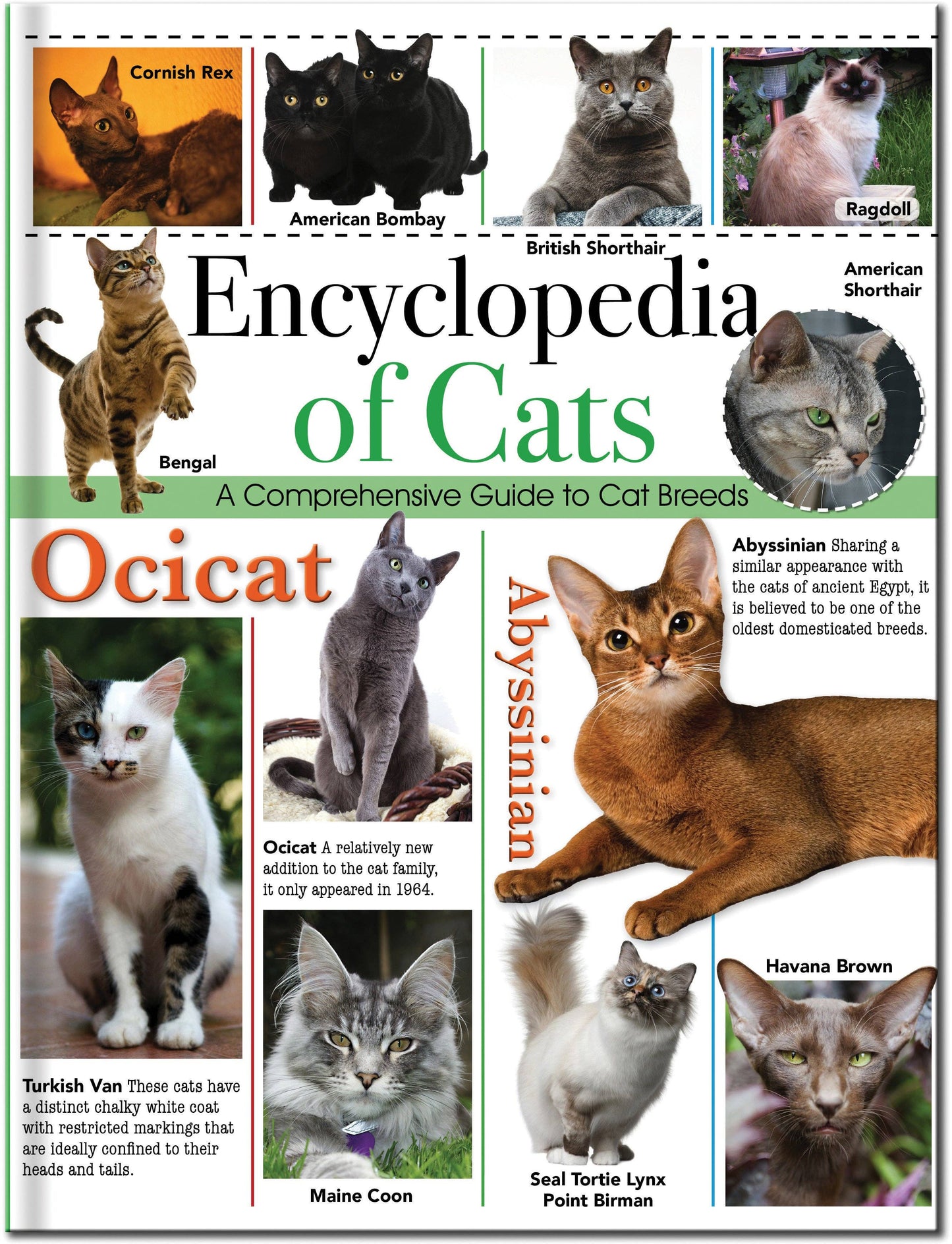 Childrens Encyclopedia of Cats – The Ultimate Feline Fact File!