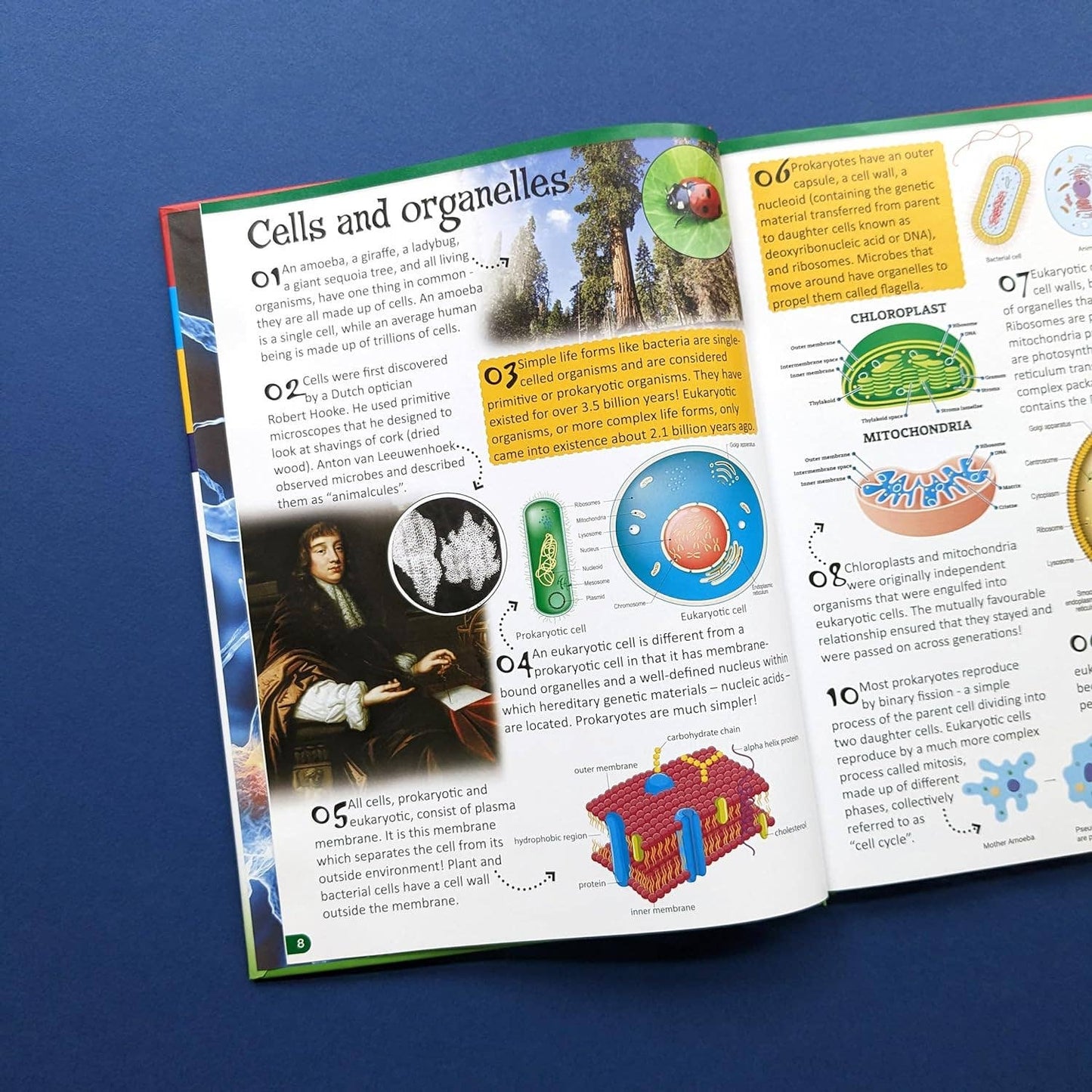 Reference Book - 500 Fantastic Facts - Biology - STEM Learning