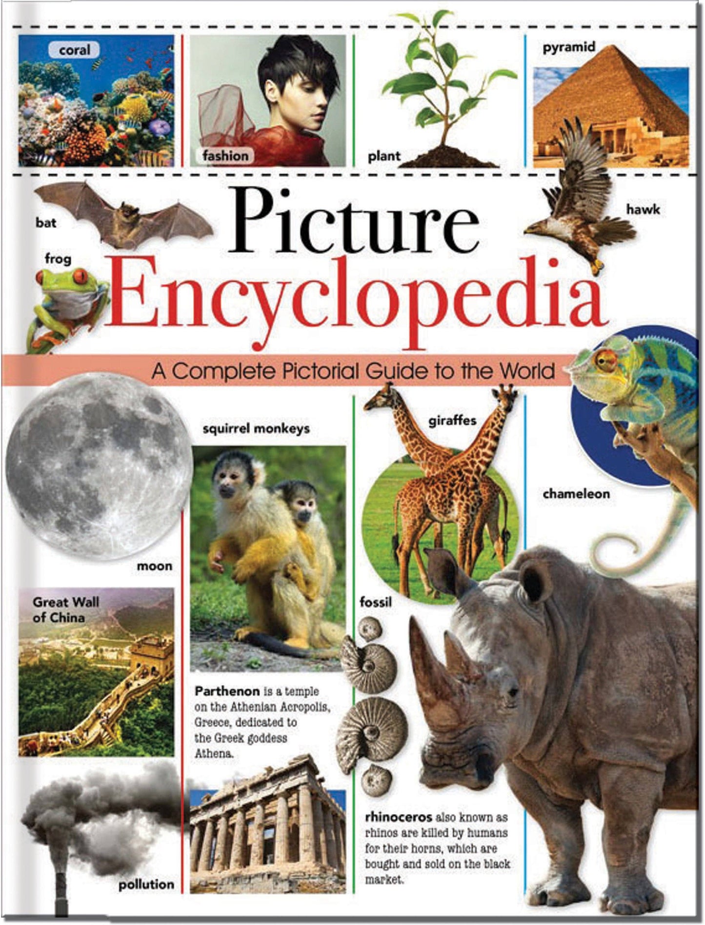 Childrens Picture Encyclopedia - The Ultimate Visual Guide to Our World!