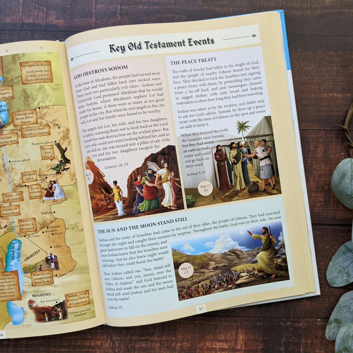 The Complete Illustrated Children's Bible Atlas