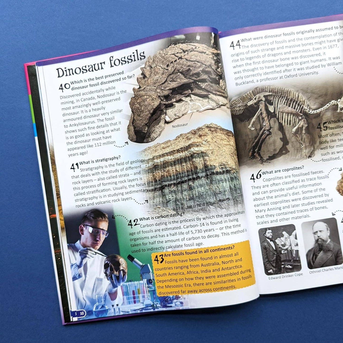 Reference Book - 500 Questions and Answers - Dinosuars