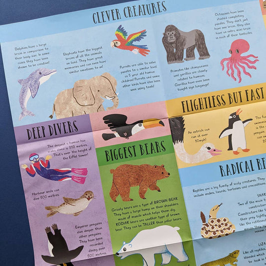 Large Question and Answer Flap Book - Animals