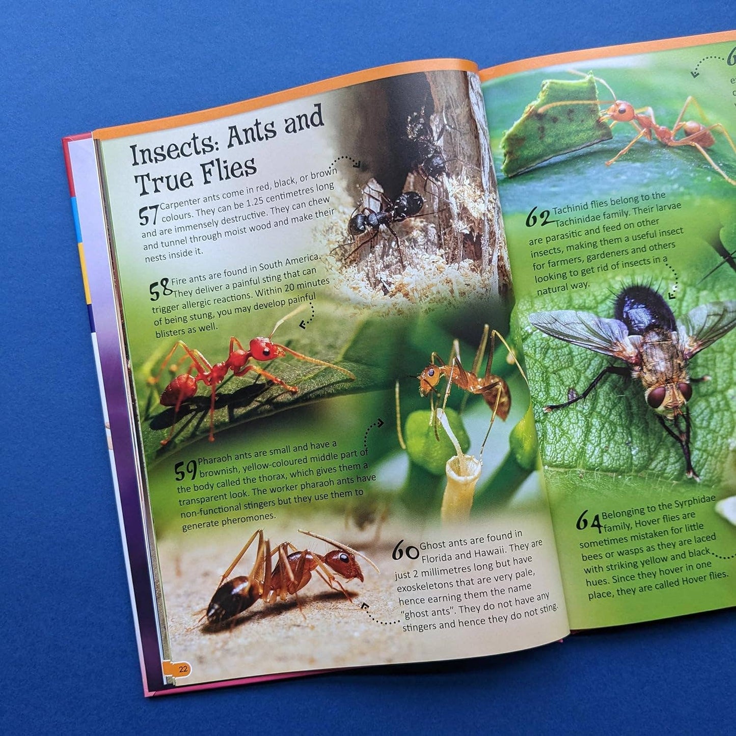 Reference Book - 500 Fantastic Animals Facts