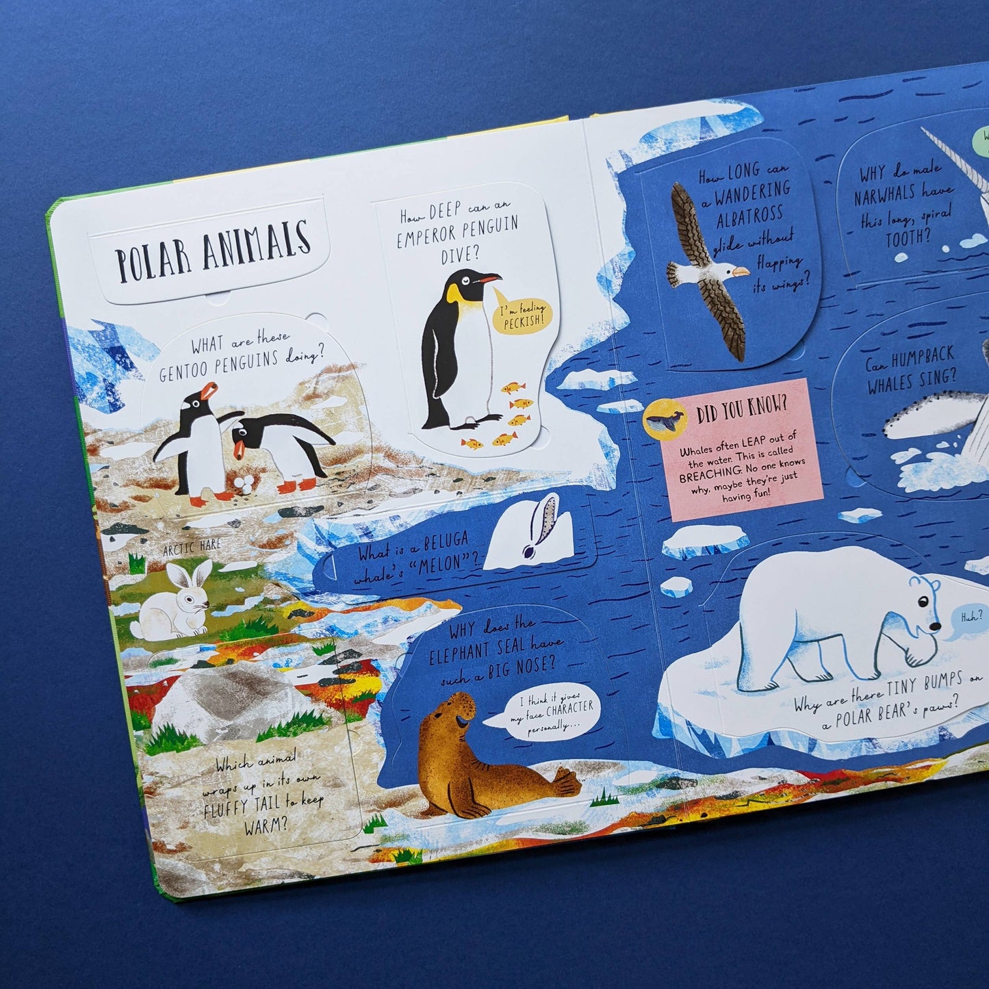 Large Question and Answer Flap Book - Animals