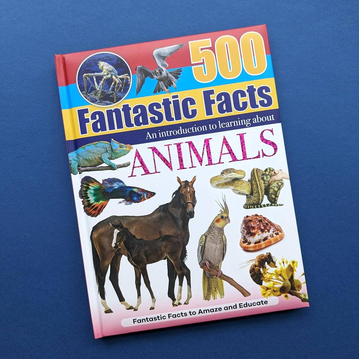 Reference Book - 500 Fantastic Animals Facts