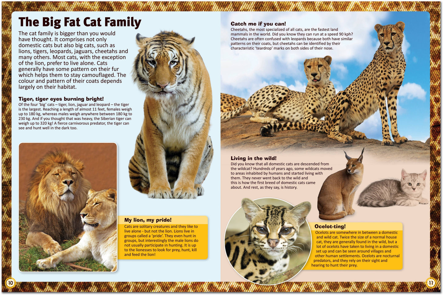 Childrens Encyclopedia of Cats – The Ultimate Feline Fact File!