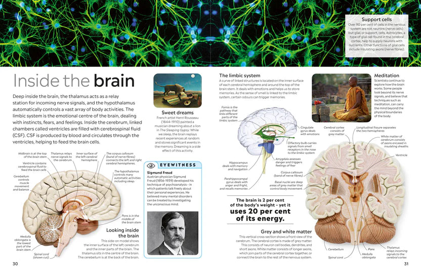 Human Body Eyewitness - DK Children