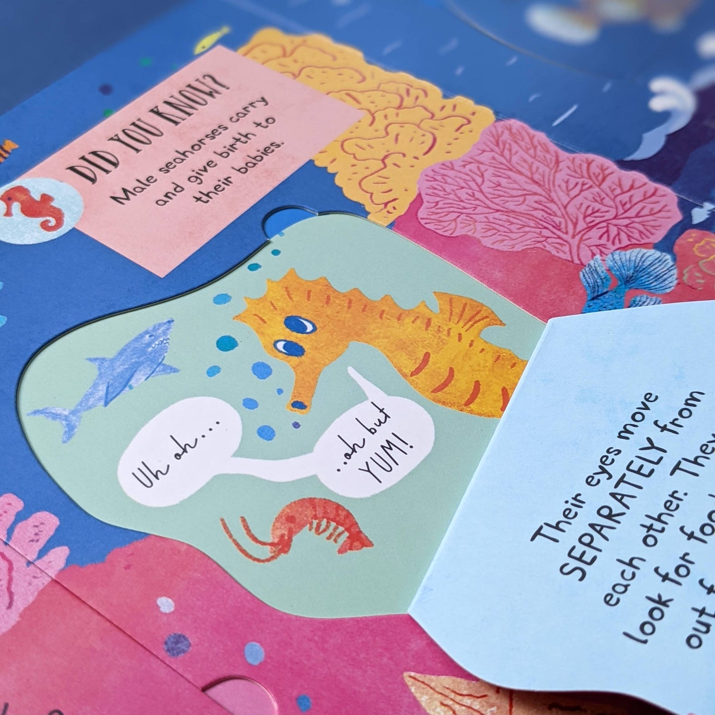 Large Question and Answer Flap Book - Animals