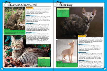 Childrens Encyclopedia of Cats – The Ultimate Feline Fact File!