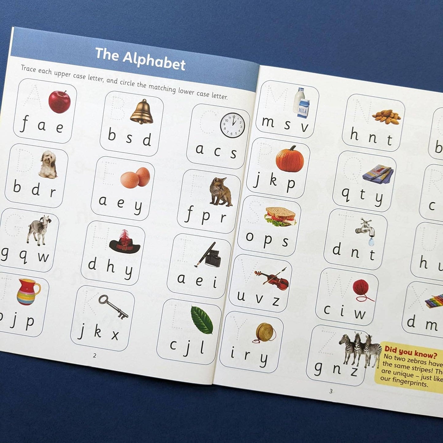 Childrens Year 1 Phonics Workbook (Ages 5-6) | National Curriculum Aligned