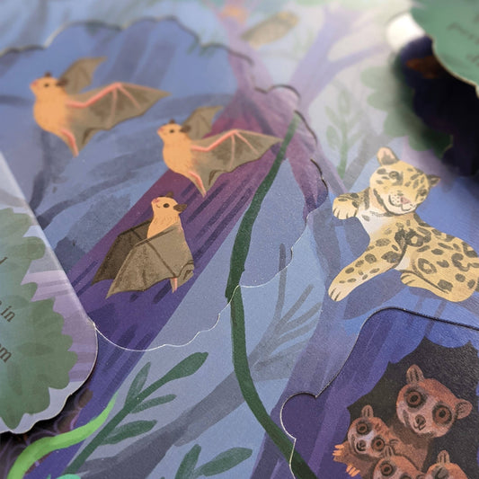 Rainforest Adventure Board Book – Interactive Lift-the-Flap Nature Book for Kids