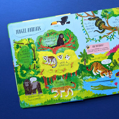 Large Question and Answer Flap Book - Animals