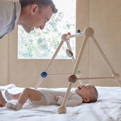 PlanToys Play Gym (Orchard) – Organic Sensory Gym for Babies 0m+