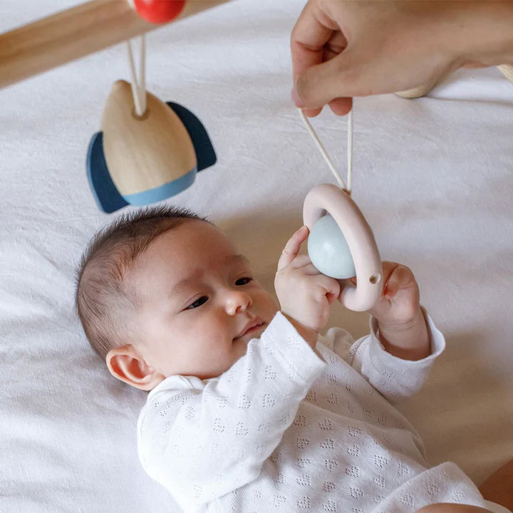 PlanToys Play Gym (Orchard) – Organic Sensory Gym for Babies 0m+