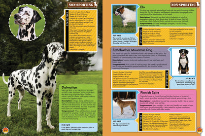 Childrens Encyclopedia diaof Dogs – The Ultimate Canine Companion Guide!