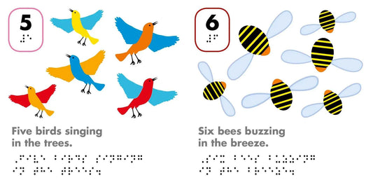 DK Braille Counting