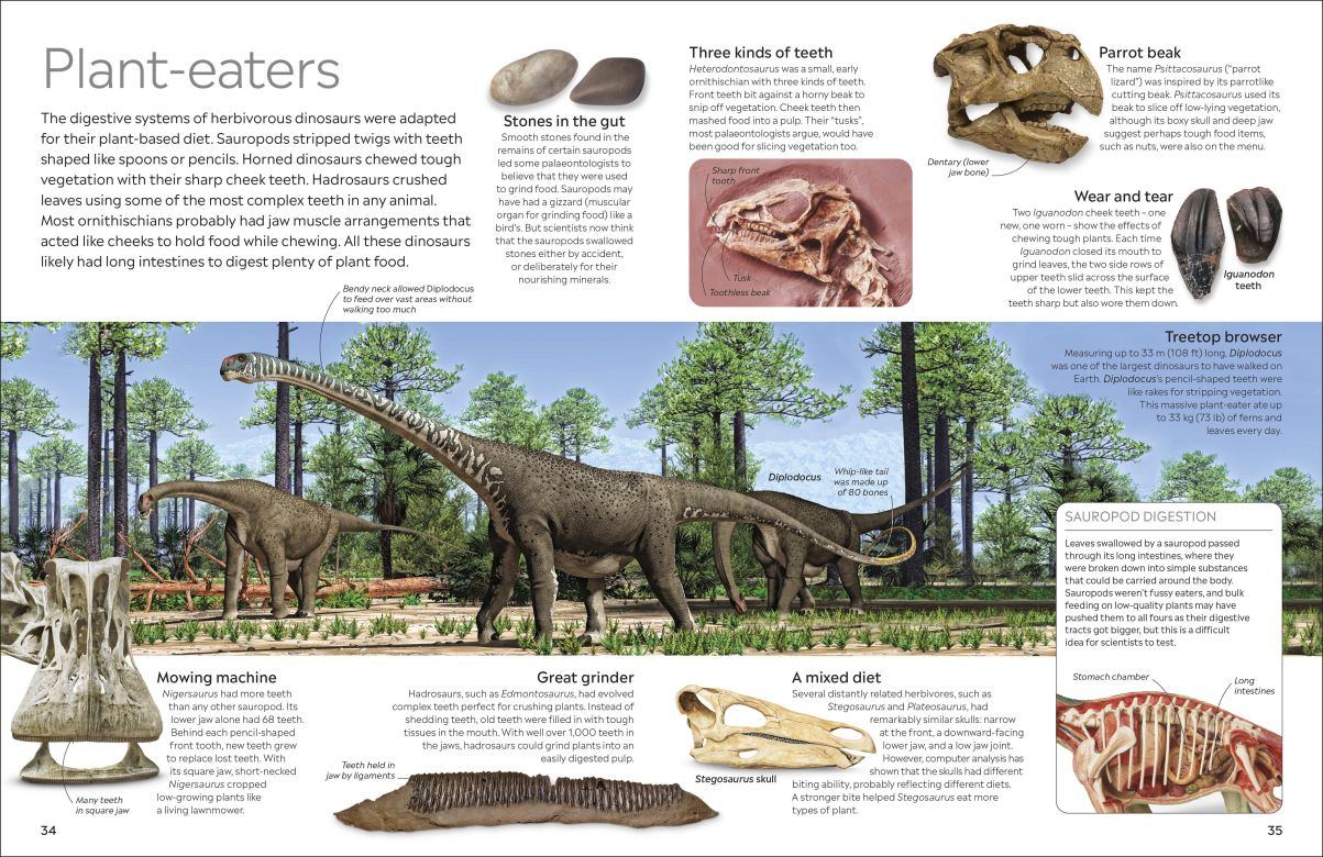 Dinosaur Eyewitness - DK Children