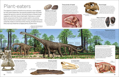 Dinosaur Eyewitness - DK Children