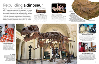 Dinosaur Eyewitness - DK Children