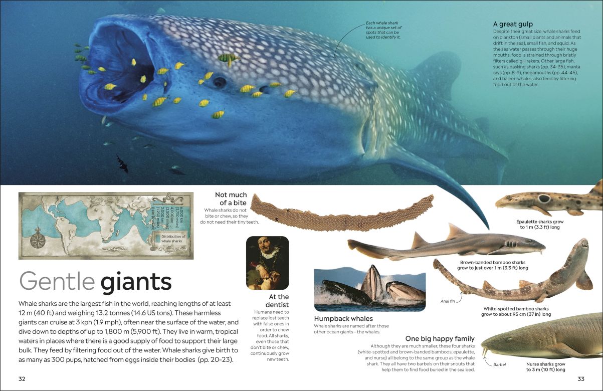 Shark Eyewitness - DK Children