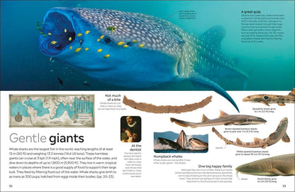 Shark Eyewitness - DK Children