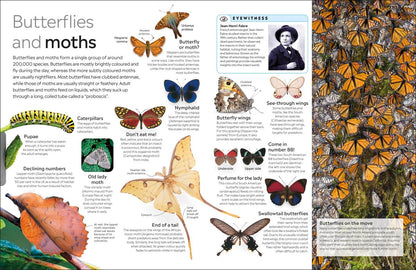 Insect Eyewitness - DK Children