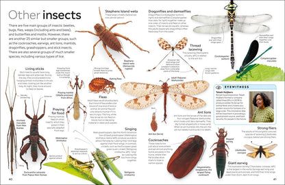 Insect Eyewitness - DK Children