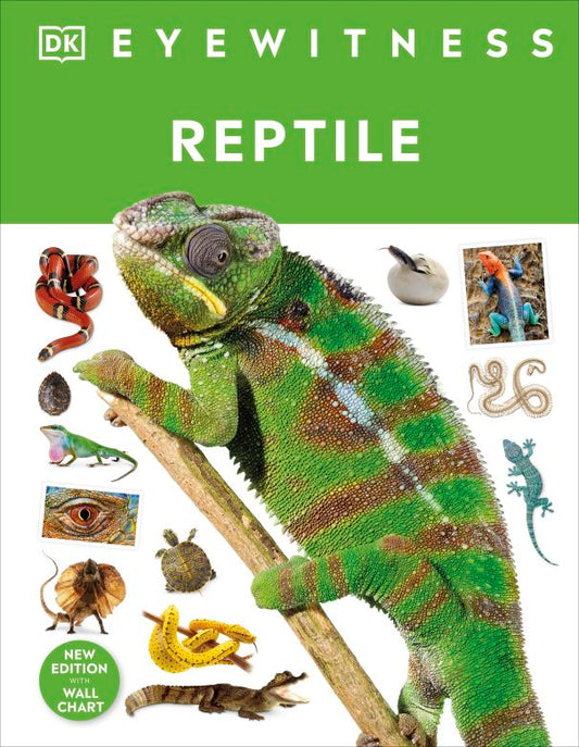 Reptile Eyewitness - DK Children