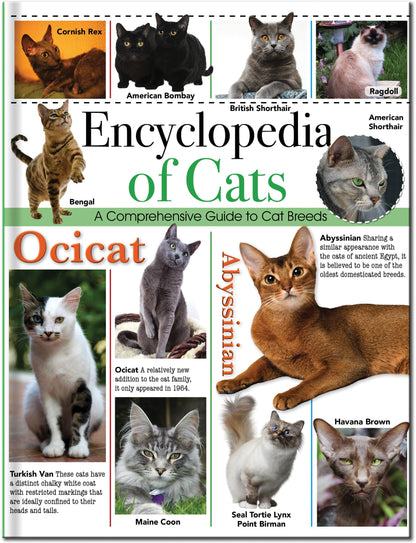 Childrens Encyclopedia of Cats – The Ultimate Feline Fact File!