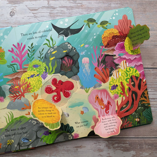 Ocean Adventure Board Book – Interactive Lift-the-Flap Underwater Discovery