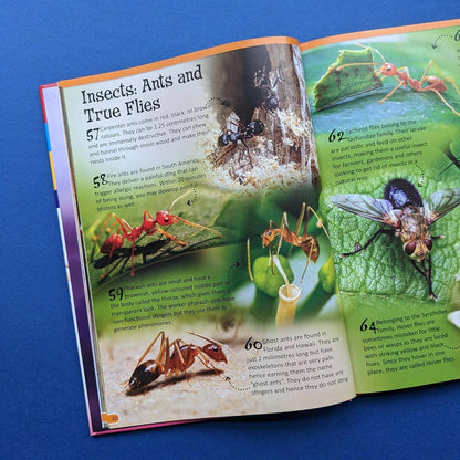 Reference Book - 500 Fantastic Animals Facts