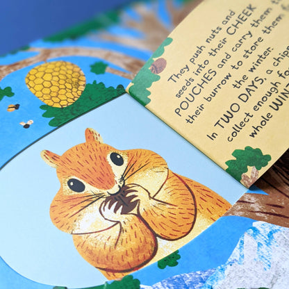 Large Question and Answer Flap Book - Animals