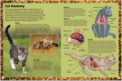Childrens Encyclopedia of Cats – The Ultimate Feline Fact File!