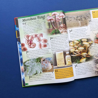 Reference Book - 500 Fantastic Facts - Biology - STEM Learning